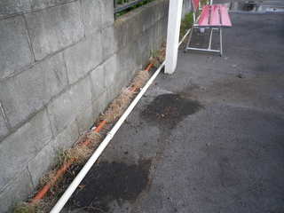 IMGP00030531.JPG