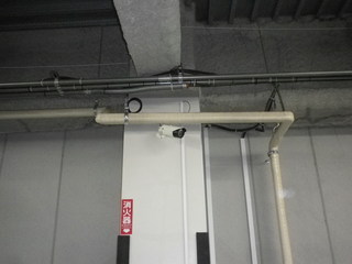 IMGP00510527.JPG
