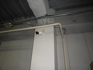 IMGP00530527.JPG