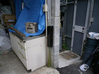 IMGP00550528.JPG