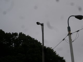 IMGP00690530.JPG