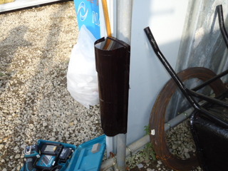 DSC019550531.JPG