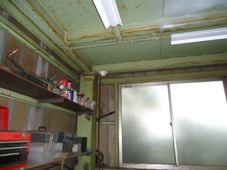 DSC019820606.JPG
