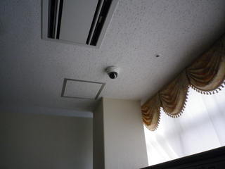 IMGP00200619.JPG