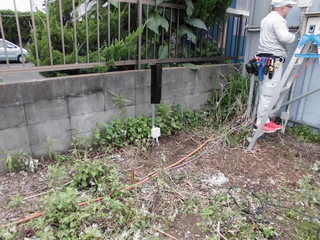 CIMG00670629.JPG