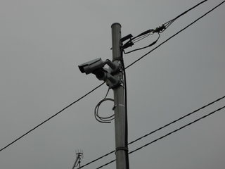 CIMG00710629.JPG