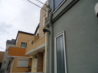 DSC004960830.JPG