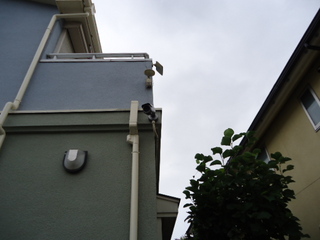DSC004970830.JPG