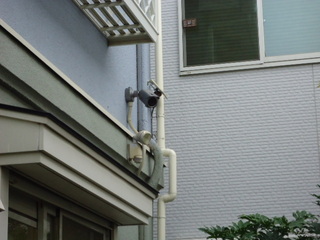DSC004980830.JPG