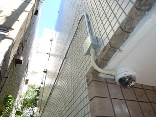 DSC022710826.JPG