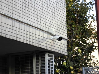 CIMG04381026.JPG