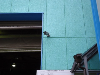 DSC006271031.JPG