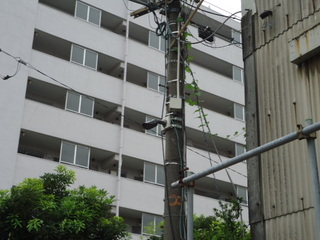 DSC023120928.JPG
