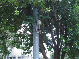 DSC023140928.JPG