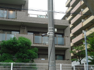 DSC023160928.JPG
