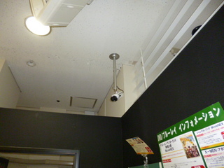 P10601901028.JPG
