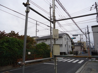 DSC013301002.JPG