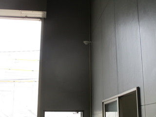 IMG_5665q.JPG