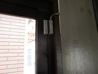 IMG_5666q.JPG
