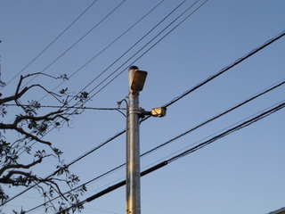 DSC007860111.JPG