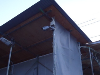 DSC025460117.JPG