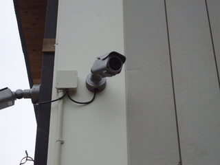 DSC025630120.JPG
