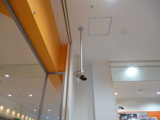 P10605320120.JPG