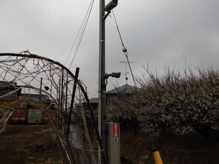 CIMG05470209.JPG