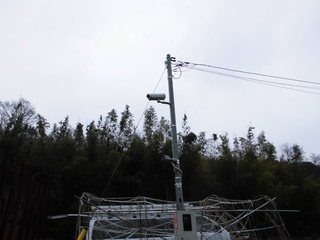 CIMG05480209.JPG