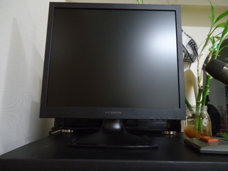 DSC023490206.JPG