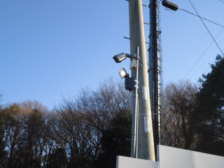 DSC025030215.JPG