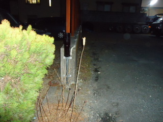 DSC025080216.JPG