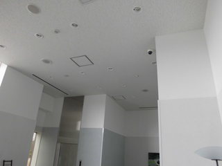 CIMG05930218.JPG