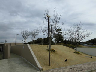 CIMG05960218.JPG