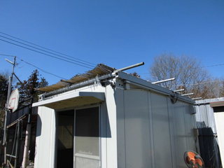 CIMG06160308.JPG
