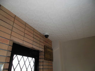 CIMG06230310.JPG