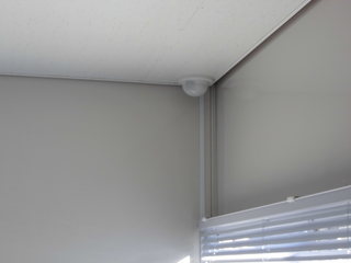 CIMG06810419.JPG