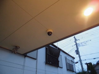 CIMG06870417.JPG