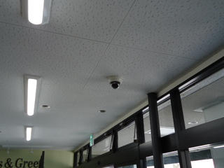 DSC008970424.JPG