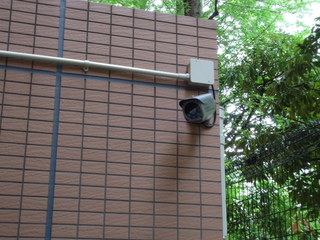 DSC009240427.JPG