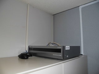 CIMG09040523.JPG