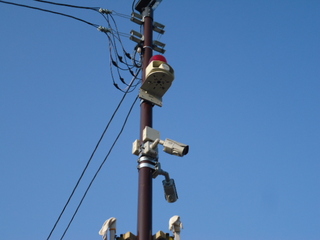 DSC026150501.JPG