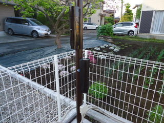 DSC026180501.JPG