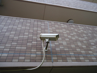 DSC026560519.JPG