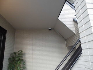 CIMG09150620.JPG