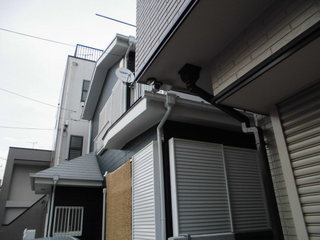 CIMG09160620.JPG