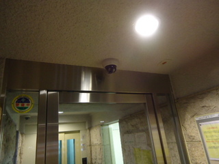 DSC010210608.JPG