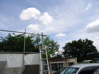 DSC010310609.JPG