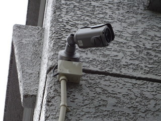 DSC028300517.JPG