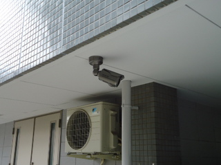 DSC028330517.JPG